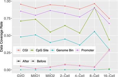 Completing Single-Cell DNA Methylome Profiles via Transfer Learning Together With KL-Divergence